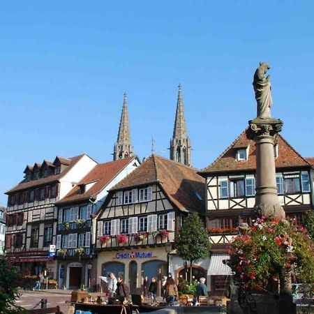 Le Carrousel - Appartement Cosy Centre Obernai Exteriör bild